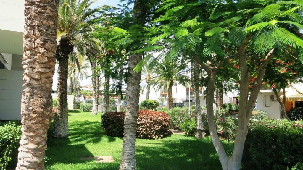 Primavera appartement tot 6 personen. Arona  Esterno foto
